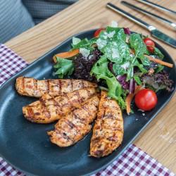 Chicken Galina Chicken Galina