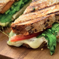 Light Tost Light Tost