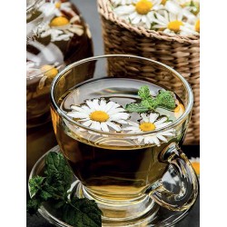 Papatya Çayı Papatya Çayı