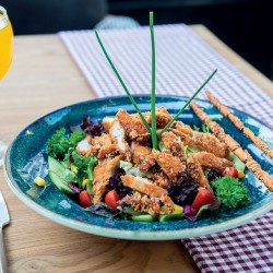 Piliç Kentucky Salata Piliç Kentucky Salata